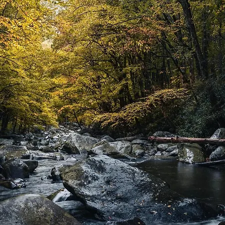 Apartment La Petite Maison