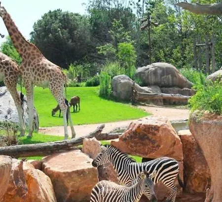 Apartment La Petite Maison *