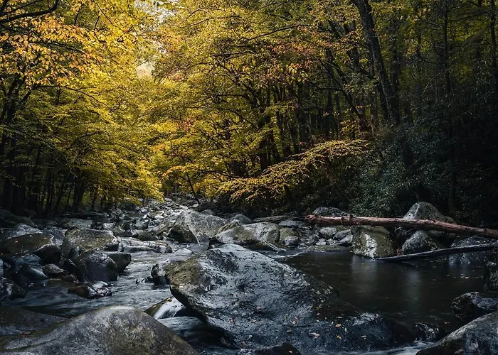 דירה La Petite Maison