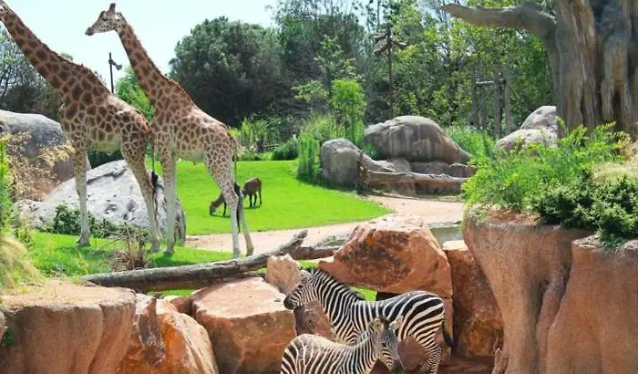 דירה La Petite Maison *